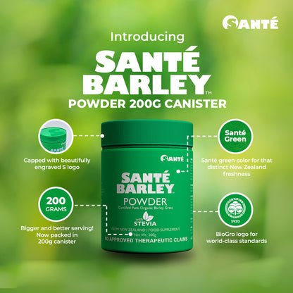 BIG CANISTER JUlCE (200g PURE BARLEY P0WDER WITH STEVIA)