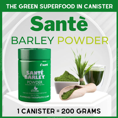 BIG CANISTER JUlCE (200g PURE BARLEY P0WDER WITH STEVIA)